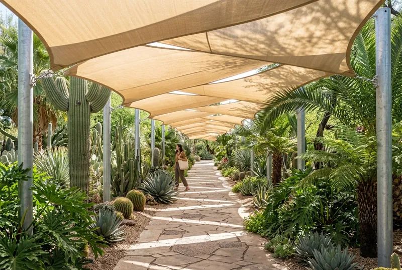 Desert botanical garden path with saguaros under a long run of sand-colored shade sails on steel posts